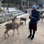 1 nara full day private tour kyoto dep with licensed guide Nara Full-Day Private Tour - Kyoto Dep. With Licensed Guide