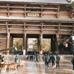 1 nara like a local customized guided tour Nara Like a Local: Customized Guided Tour
