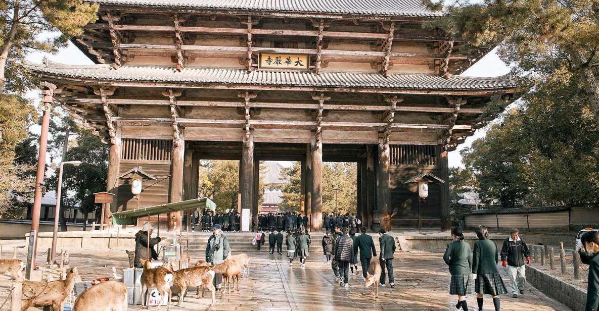 1 nara like a local customized guided tour Nara Like a Local: Customized Guided Tour