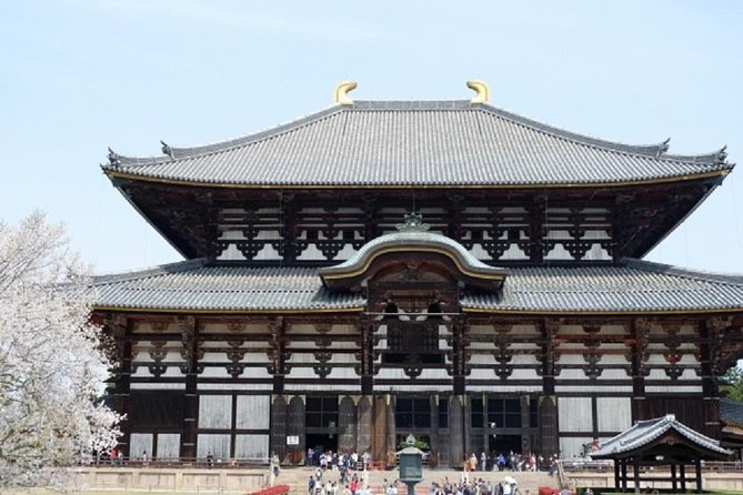 Nara Private Tour by Public Transportation From Osaka