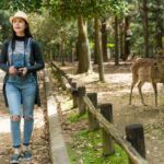 1 naras historical wonders a journey through time and nature Nara's Historical Wonders: A Journey Through Time and Nature