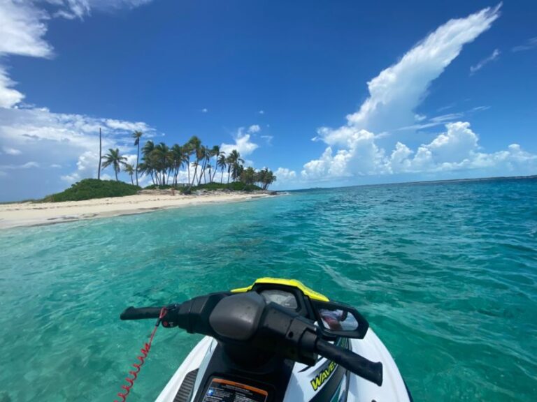 Nassau: Guided Jet Ski Tour and Swimming With Pigs