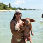 1 nassau pig beach island ticket with hotel transfer Nassau: Pig Beach Island Ticket With Hotel Transfer
