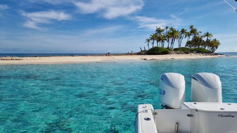 Nassau: Rose Island Snorkel, Turtles & Beach Speedboat Tour