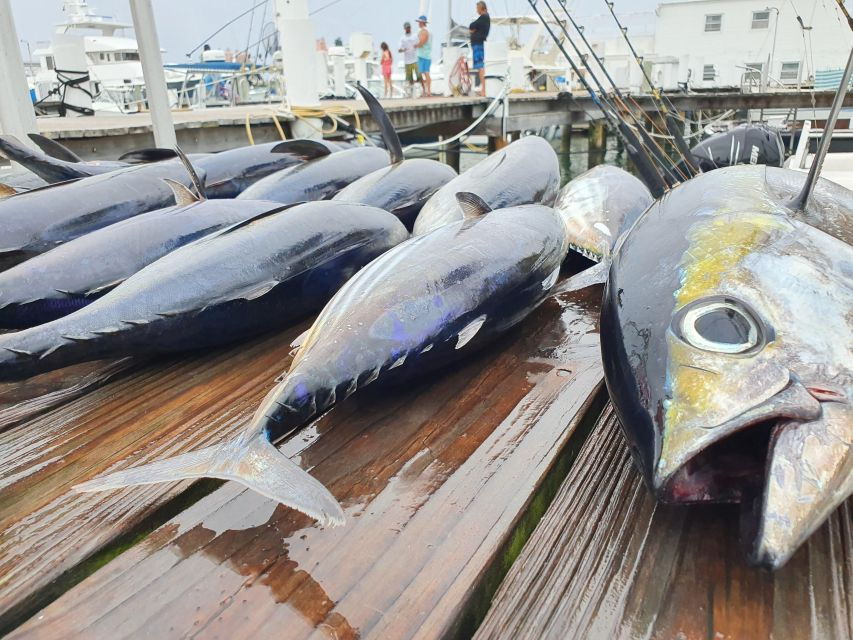 Nassau: Sport-Fishing Private Charter