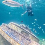 1 nassau sun cay day trip snorkel iguana encounter lunch Nassau: Sun Cay Day Trip, Snorkel, Iguana Encounter, & Lunch