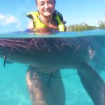 1 nassau swim with sharks swimming pigs tour Nassau: Swim With Sharks, Swimming Pigs Tour