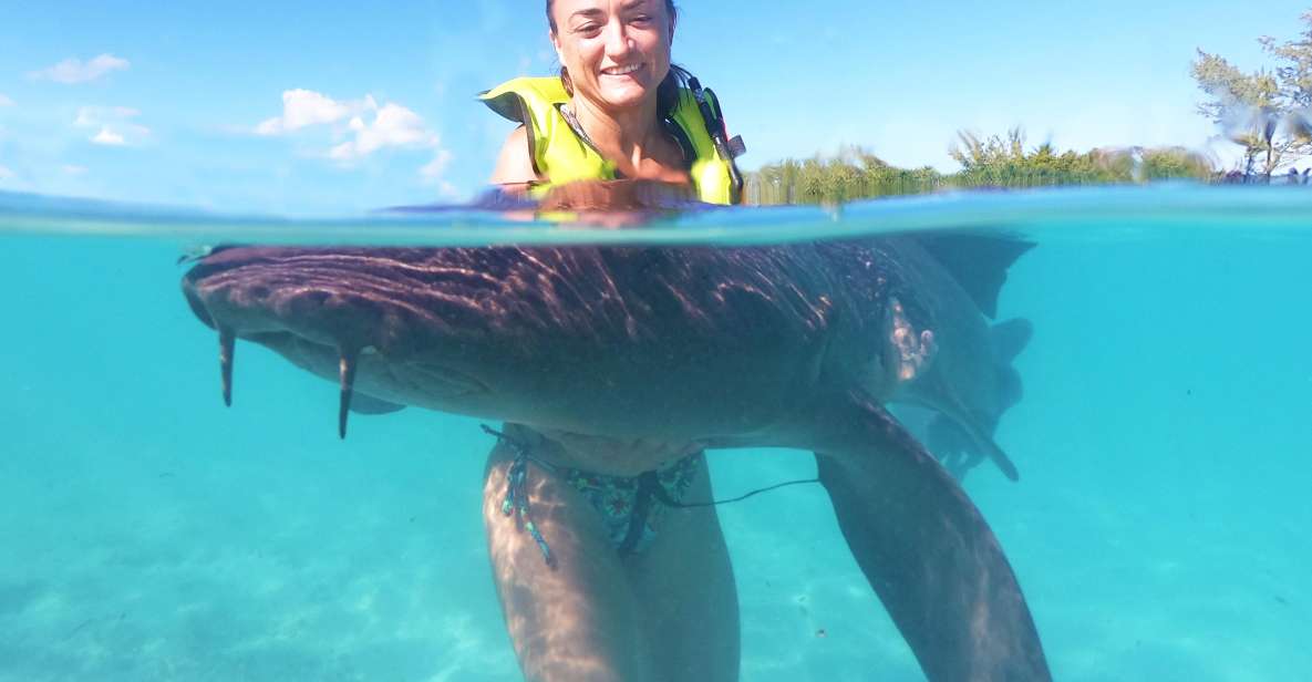 1 nassau swim with sharks swimming pigs tour Nassau: Swim With Sharks, Swimming Pigs Tour