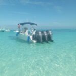 1 nassauswimming pigs turtles reef snorkeling by speedboat Nassau:Swimming Pigs, Turtles, Reef Snorkeling by Speedboat
