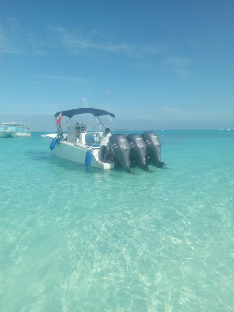 Nassau:Swimming Pigs, Turtles, Reef Snorkeling by Speedboat
