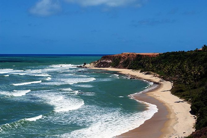 Natal to Pipa Beach Full-Day Tour With Transport and Guide (Mar )