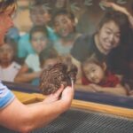 1 national kiwi hatchery kiwi encounter tour National Kiwi Hatchery - Kiwi Encounter Tour
