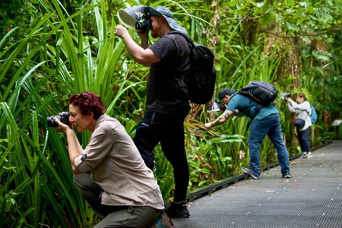 Nature Photography Guided Walks: Cairns (Mar )