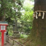 1 nature tour at mt takao Nature Tour at Mt. Takao