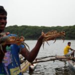 1 negombo all inclusive lagoon fishing tour seafood lunch Negombo: All-Inclusive Lagoon Fishing Tour & Seafood Lunch
