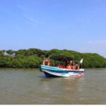 1 negombo muthurajawela wetland dutch canal boat adventure Negombo: Muthurajawela Wetland & Dutch Canal Boat Adventure