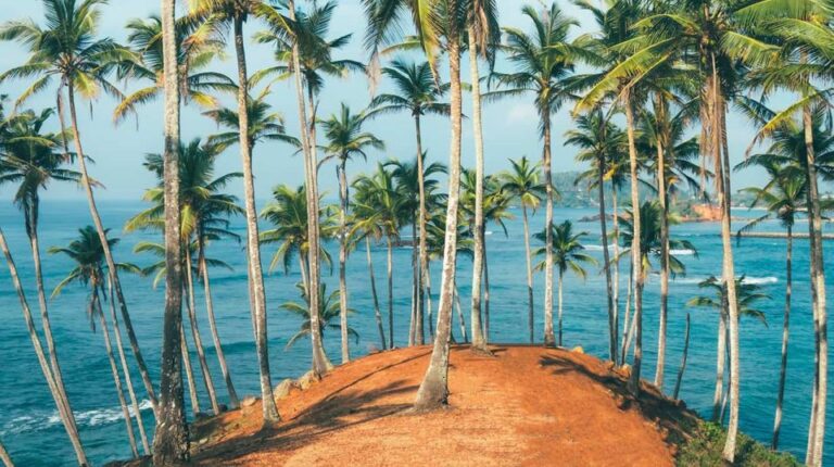 Negombo Pick Up to Mirissa Beach/City