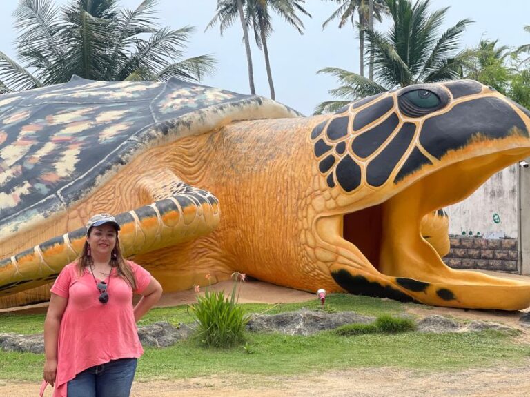 Negombo: Turtle Hatchery, River Safari, Moon Stone & Galle