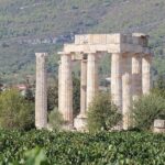 1 nemea archeological museum and winery private tour mar Nemea Archeological Museum and Winery Private Tour (Mar )