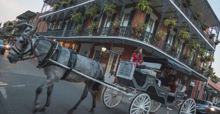 New Orleans City Walking Tour