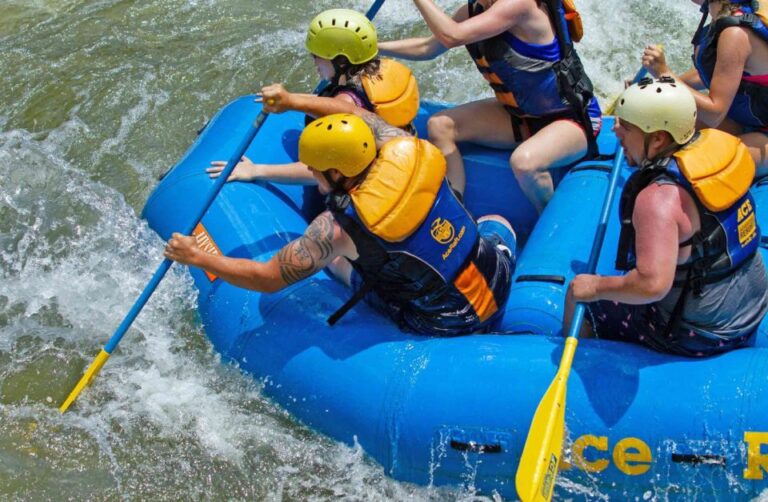 New River Gorge Whitewater Rafting – Lower New Full Day