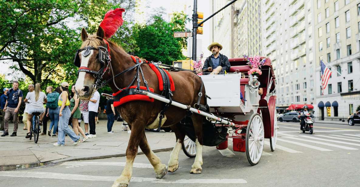 New York City: Central Park Private Horse and Carriage Tour - Highlights