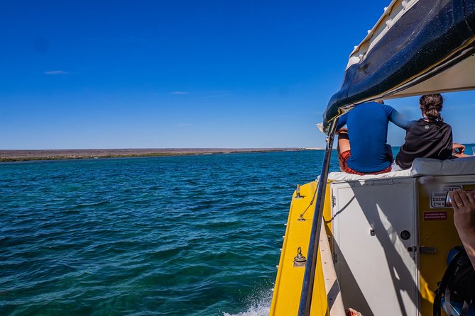 Ningaloo Immersion Private Charter