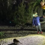 1 nocturnal wildlife tour from busselton or dunsborough Nocturnal Wildlife Tour From Busselton or Dunsborough