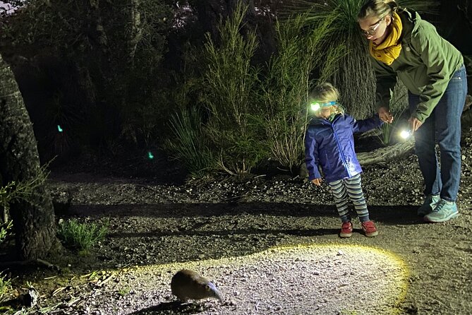 1 nocturnal wildlife tour from busselton or dunsborough Nocturnal Wildlife Tour From Busselton or Dunsborough