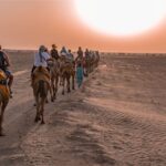 1 nomadic non touristic overnight camel desert safari tour Nomadic Non-Touristic Overnight Camel & Desert Safari Tour