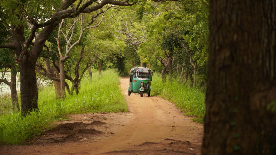 1 non touristic sigiriya on tuktuk Non-Touristic Sigiriya on Tuktuk