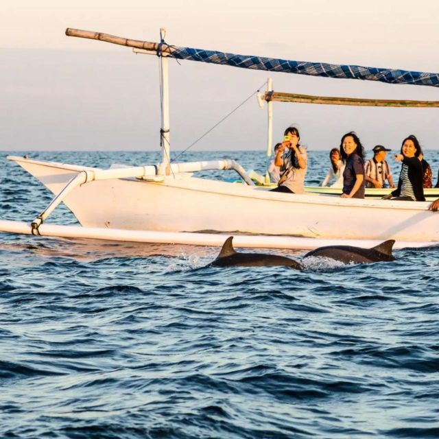 1 north bali lovina watching dolphins and sunrises tour North Bali : Lovina Watching Dolphins And Sunrises Tour
