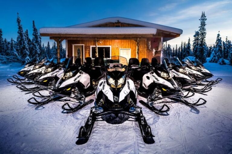 North Pole Alaska: Guided Fairbanks Snowmobile Tour