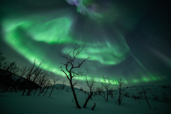 Northern Lights Expedition With Arctic Photo Guide Max 6 Guests
