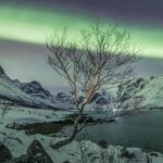 1 northern lights private tour with your special ones greenlander Northern Lights Private Tour With Your Special Ones - Greenlander