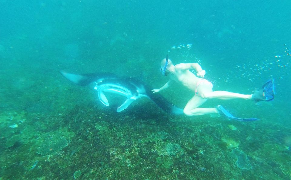Nusa Penida Private Snorkeling - Activity Highlights