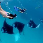 1 nusa penida snorkeling adventure private all inclusive Nusa Penida Snorkeling Adventure (Private & All-Inclusive)