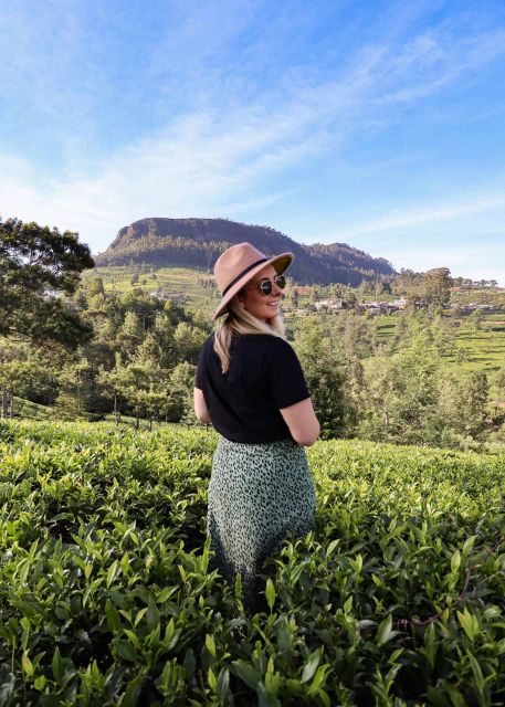 Nuwara Eliya: Sri Lanka Hill Country Day Trip From Kandy