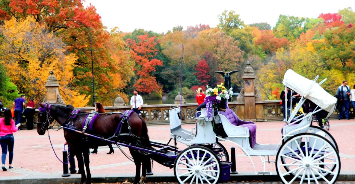 1 nyc central park horse drawn carriage ride up to 4 adults NYC: Central Park Horse-Drawn Carriage Ride (up to 4 Adults)