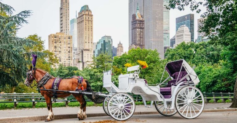 NYC: Guided Central Park Horse Carriage Ride