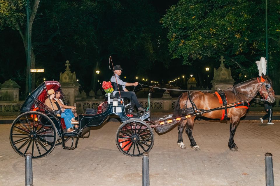 NYC MOONLIGHT HORSE CARRIAGE RIDE Through Central Park