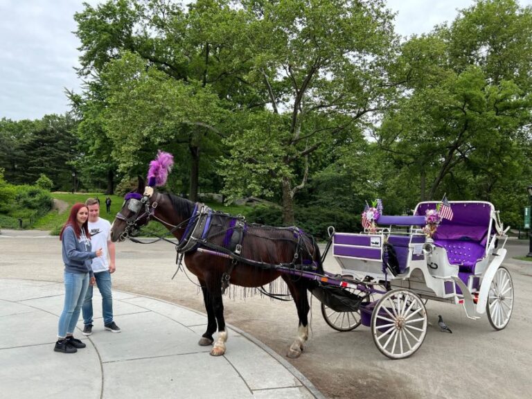 NYC: Private Central Park Horse Carriage Ride With Guide