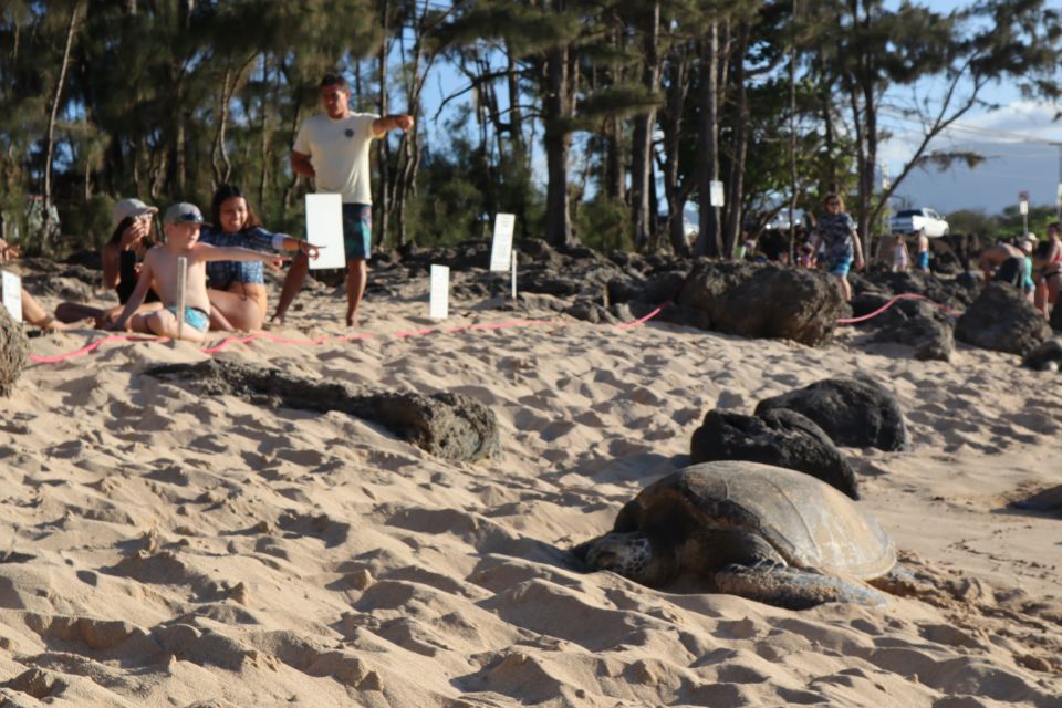 1 oahu active circle island tour Oahu: Active Circle Island Tour