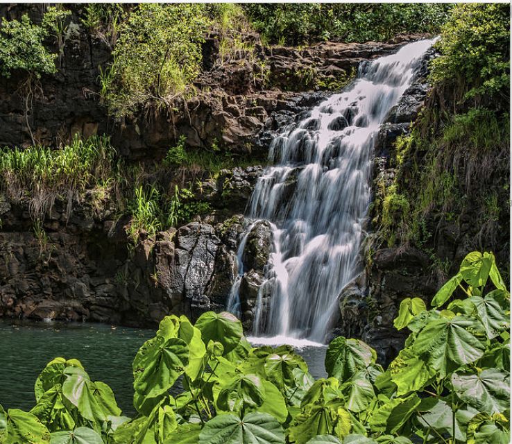 1 oahu hidden gems waimea botanical garden waterfall tour Oahu Hidden Gems & Waimea Botanical Garden/Waterfall Tour