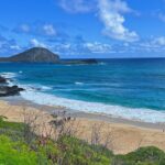 1 oahu island experience feat north shore small group tour Oahu Island Experience Feat. North Shore (Small Group Tour)