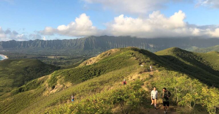 Oahu: Manoa Falls Hike and Tour