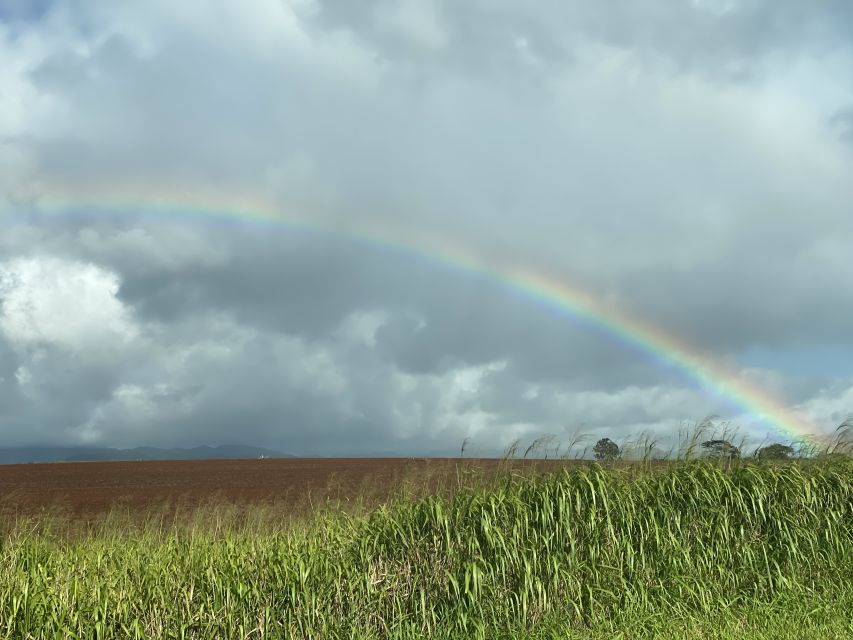 1 oahu private full day foodie sightseeing tour Oahu: Private Full-Day Foodie & Sightseeing Tour