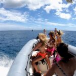 1 oahu waikiki private snorkeling and wildlife boat tour Oahu: Waikiki Private Snorkeling and Wildlife Boat Tour