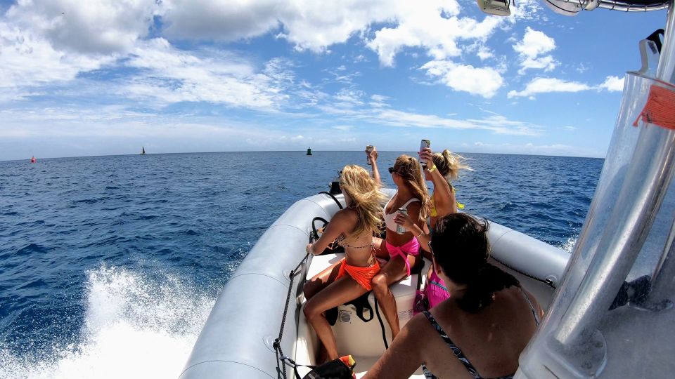 1 oahu waikiki private snorkeling and wildlife boat tour Oahu: Waikiki Private Snorkeling and Wildlife Boat Tour