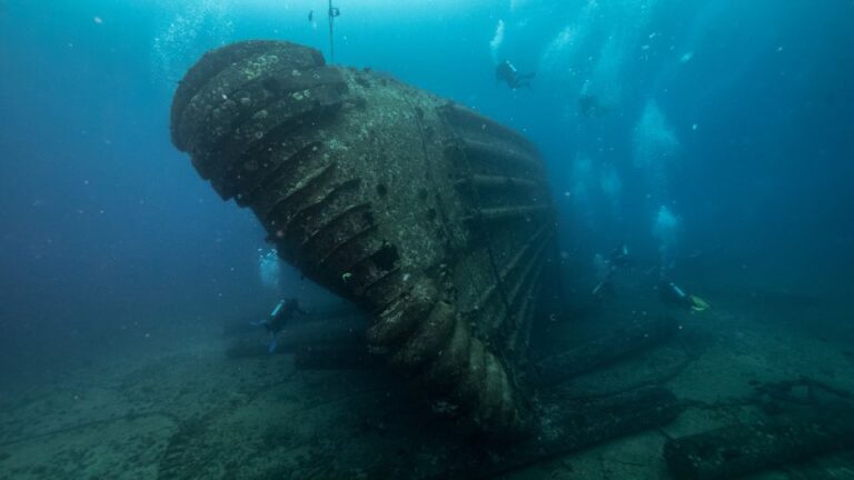 Oahu: Wreck & Reef Scuba Dive for Certified Divers